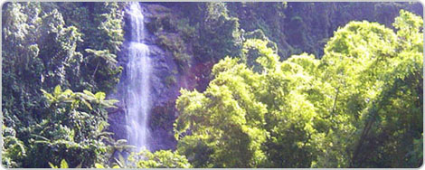 19927.jpg