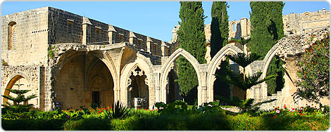 19977.jpg