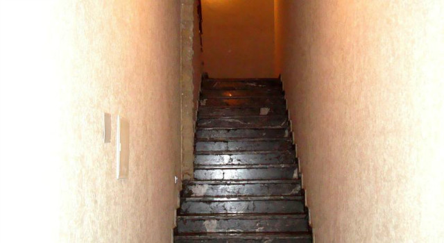 27790440.jpg