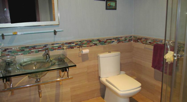 36355156.jpg