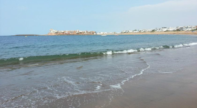 29500186.jpg