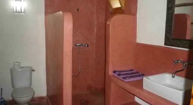 23843047.jpg