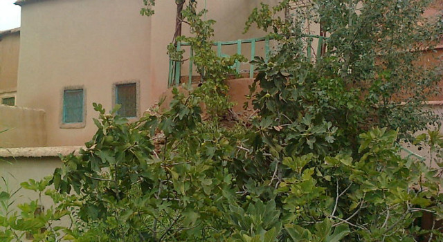 9202511.jpg