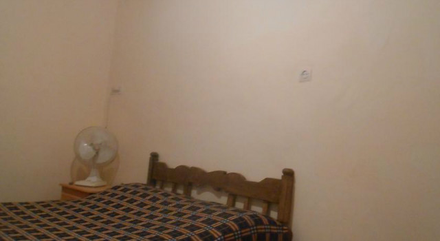 24751125.jpg