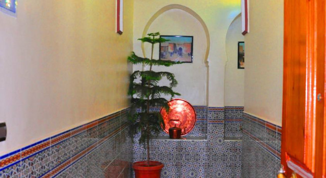 27019900.jpg