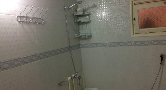 38810161.jpg