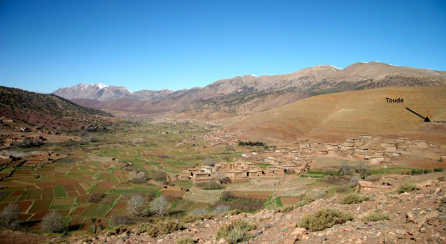 5042599.jpg