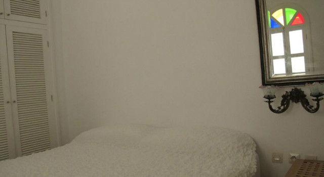 11402117.jpg