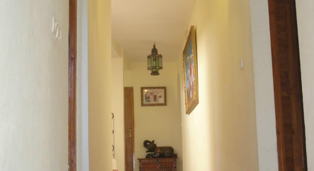 15545641.jpg