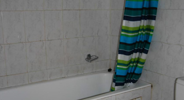 23843537.jpg