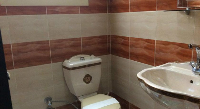 38681105.jpg