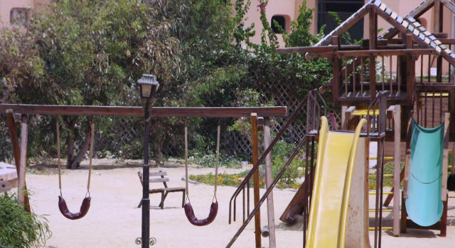 5063832.jpg