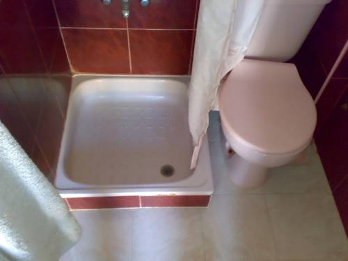 3991646.jpg