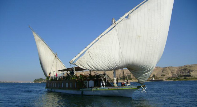 30611140.jpg