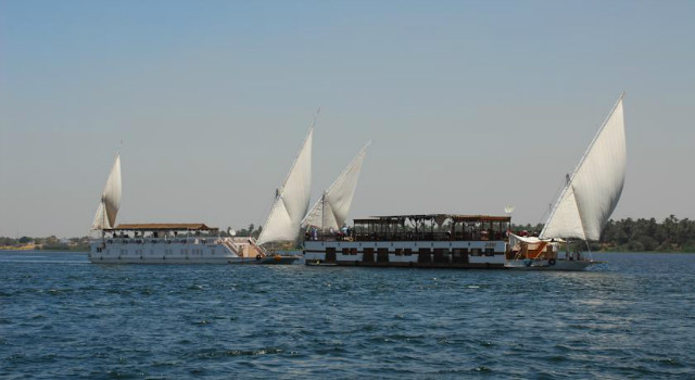30495015.jpg