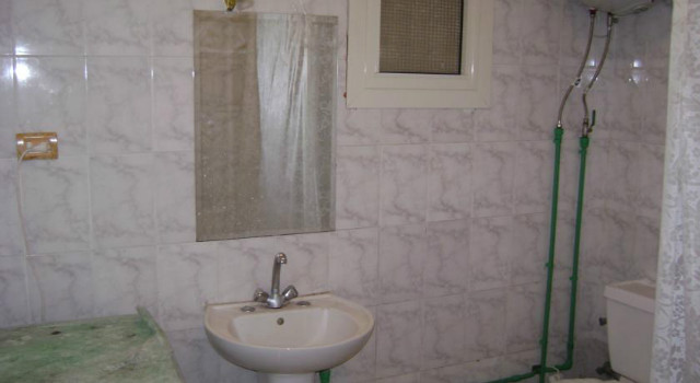 11718181.jpg