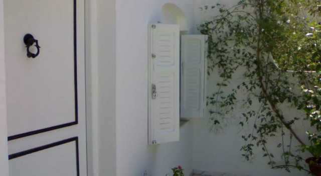 7410996.jpg