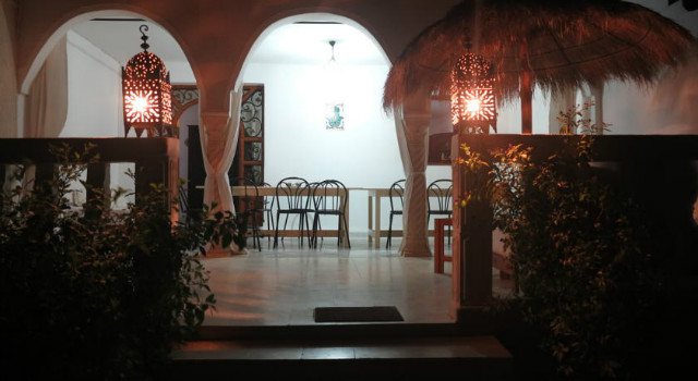 12008186.jpg