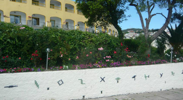 31991310.jpg