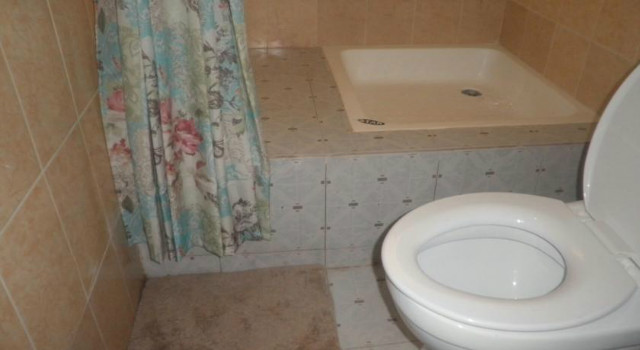 43504105.jpg