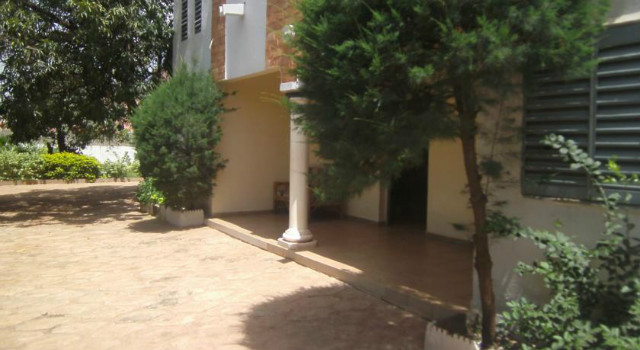 36750259.jpg