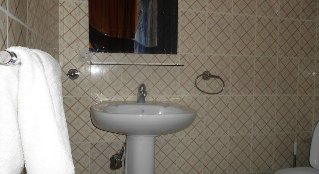26150852.jpg