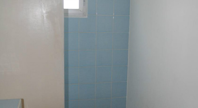 20615248.jpg