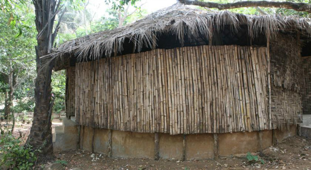 37102265.jpg