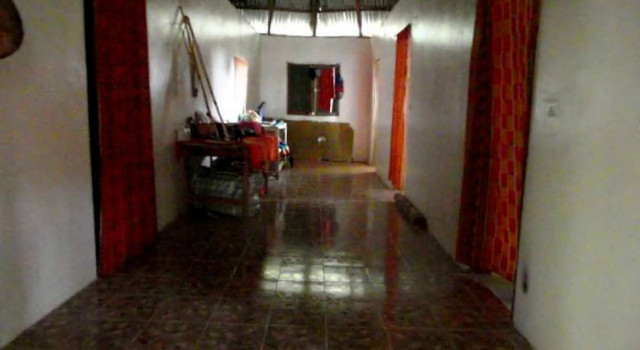 29117487.jpg