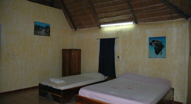 36014835.jpg