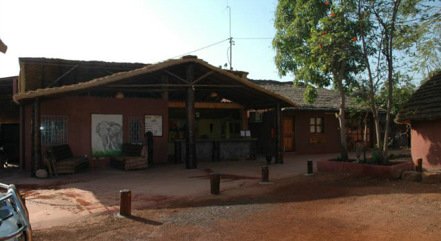 36014838.jpg