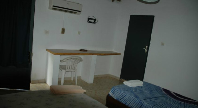 36014846.jpg