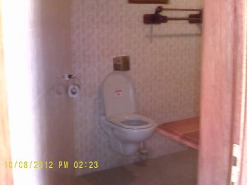 15930476.jpg