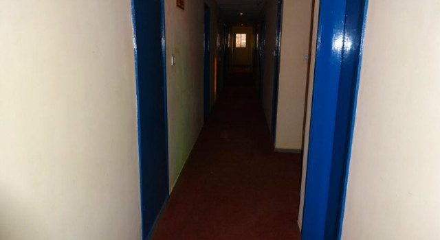 25394957.jpg