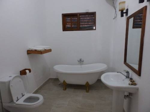 40003186.jpg