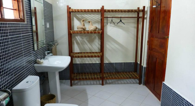 20956689.jpg