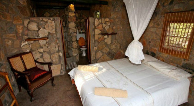9375986.jpg