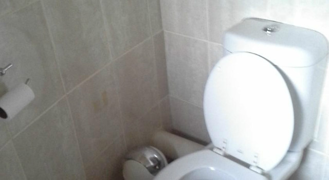37104841.jpg