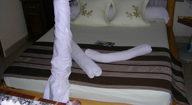 29781877.jpg