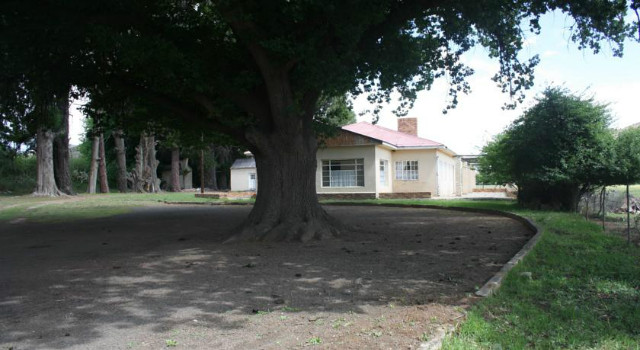 38734045.jpg