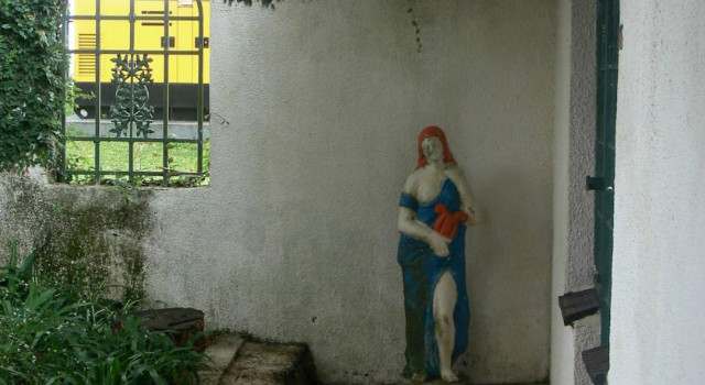 15686183.jpg
