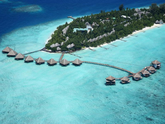 79088_15122116540038658255.jpg