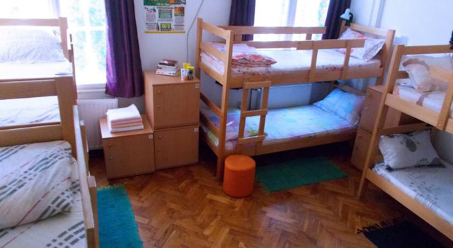31688037.jpg