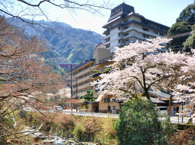 hakone.jpg